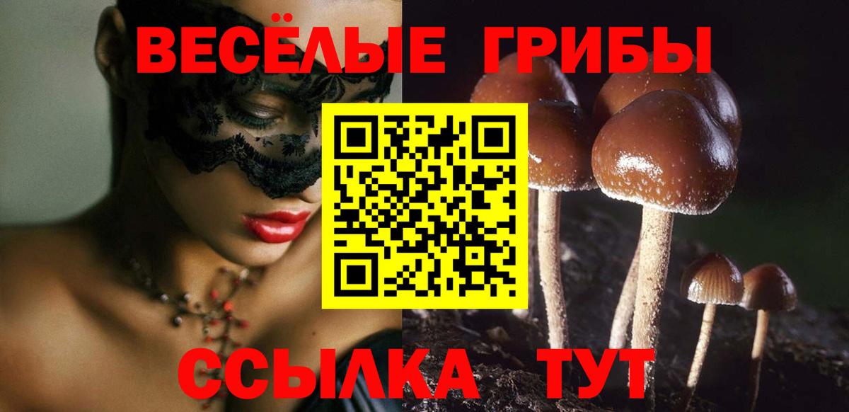 Псилоцибиновые грибы Cubensis  Вход с VPN  Изобильный 